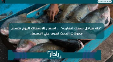 “كله هياكل سمك انهارده”… أسعار الأسماك اليوم تتصدر محركات البحث تعرف علي الأسعار